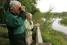 Older couple looking across distance