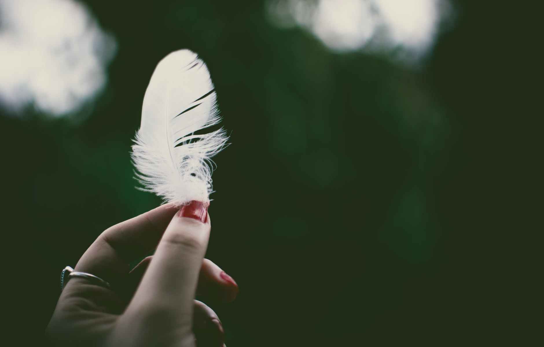 person holding white feather in selective focus photography