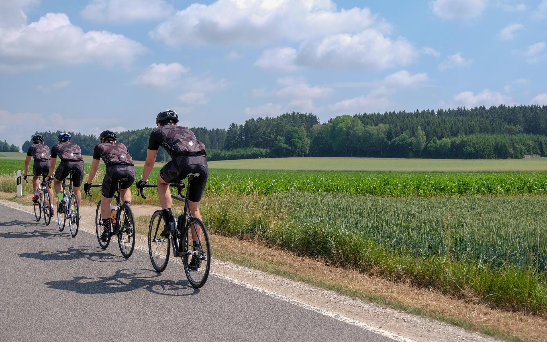 bicyclists ahead on road